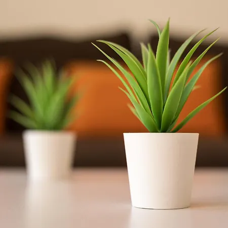 Lejlighed Cosy Beach Front *