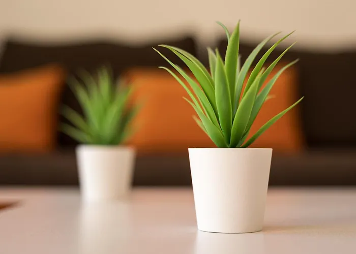 Lejlighed Cosy Beach Front *